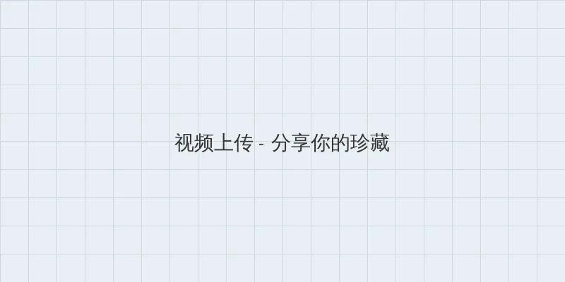 galgame网站 视频上传区域